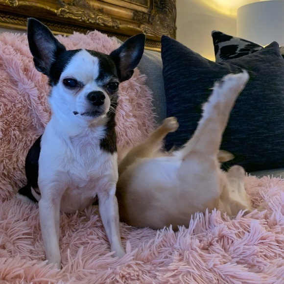 Meet your Posher, Hillary! ππΊπ§π₯πβ€οΈ - Picture 6 of 14